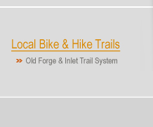 Old Forge Trail System, Mountain bike, hike